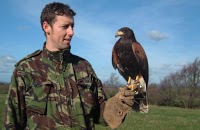 The Cumberland Bird of Prey Centre.